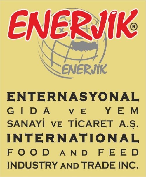 Enerjik International