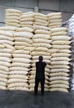 Somali Sesame seed