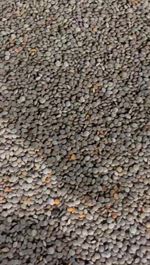 Red and Green Lentils