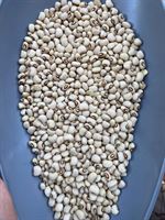 Chickpeas, Black Eye Bean, Fava Bean, Rice Sorts