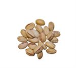 Raw Pistachio (inshell)